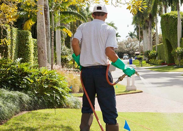 About Bloomsbury NJ Pest Control Pros